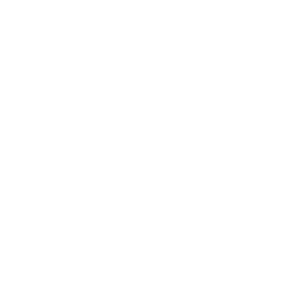 Al-Wasl-Trading-Group-white.png