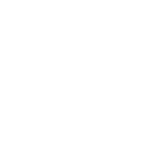 Sheikh-Zayed-Housing-Programme-white.png